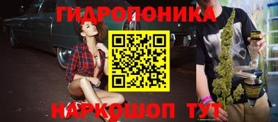 прущие грибы Кунгур