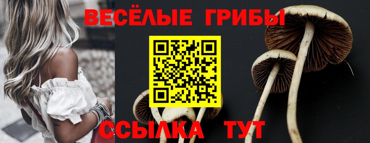 наркота  Галлюциногенные грибы ЛСД  Вход с VPN  Иваново 